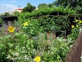 IMG_0231