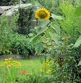 IMG_0633