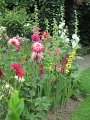 IMG_0656