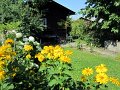 IMG_0869