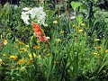 IMG_1088,(2)