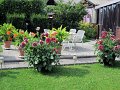 IMG_1092,(1)