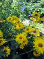 IMG_1182