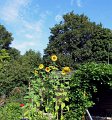 IMG_1197
